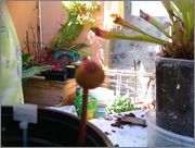 IMAG0694.jpg