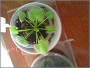 IMAG0711.jpg
