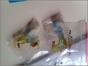 IMAG0726.jpg