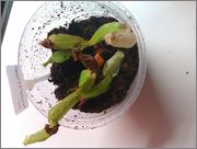 IMAG0727.jpg