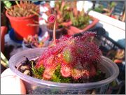 IMAG0737.jpg