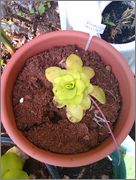 IMAG0751.jpg