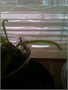 IMAG0907.jpg