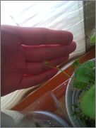 IMAG0908.jpg