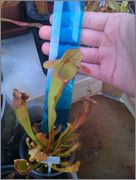 IMAG0965.jpg