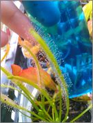 IMAG0977.jpg