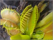 IMAG1386.jpg