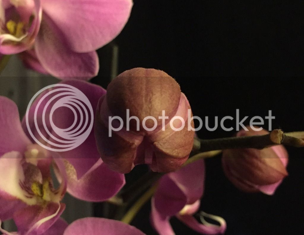 image.jpe