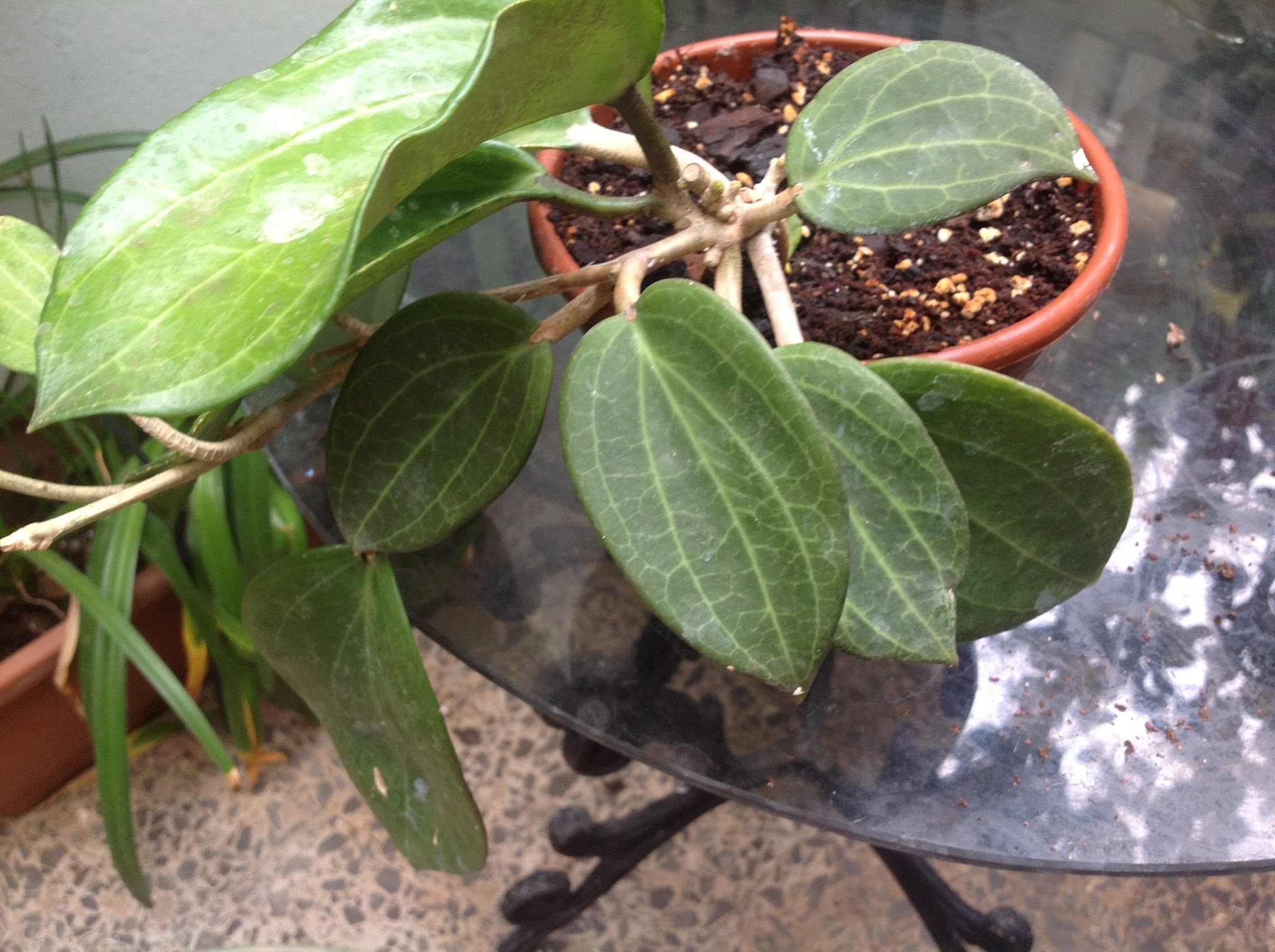 image.jpg