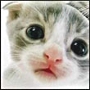 image.php?u=29981&dateline=1193164206.jpg