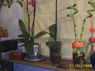Image00001%7E4.jpg