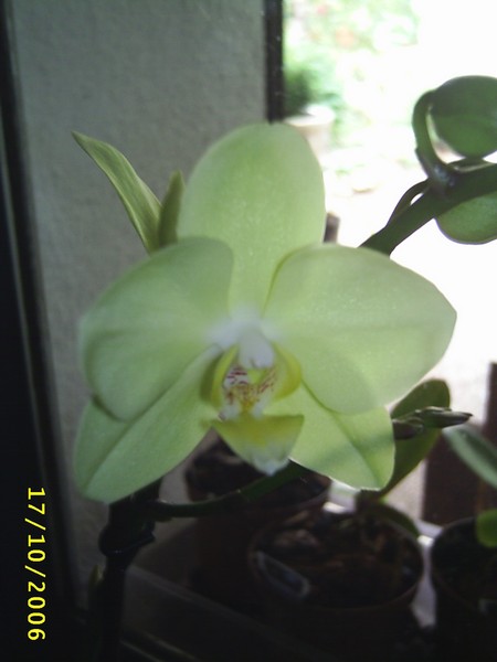Image00001.jpg