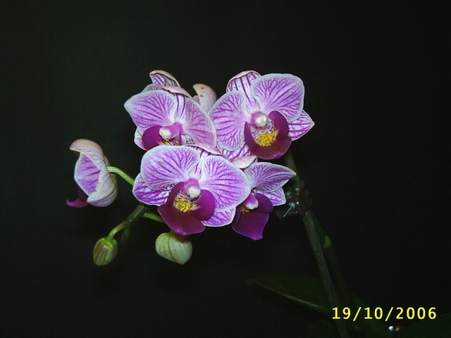 Image000011.jpg