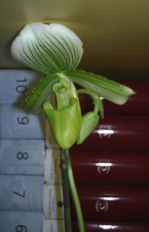 Image000011.jpg