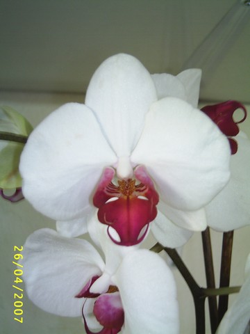Image0000111.jpg