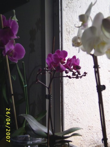 Image0000112.jpg