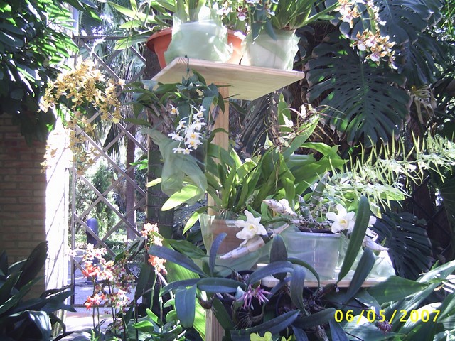 Image0000115.jpg