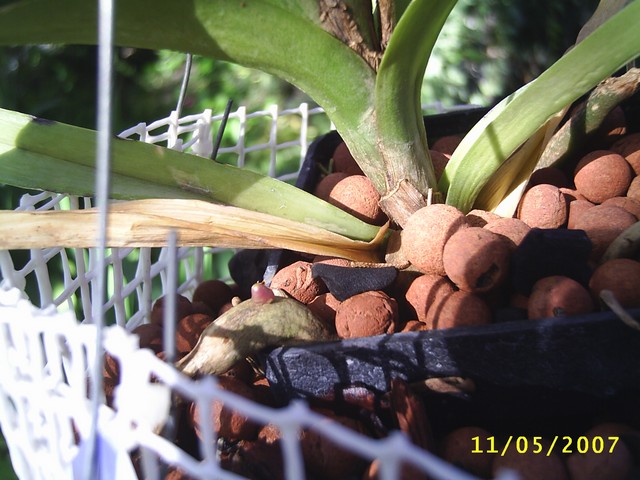 Image0000117.jpg