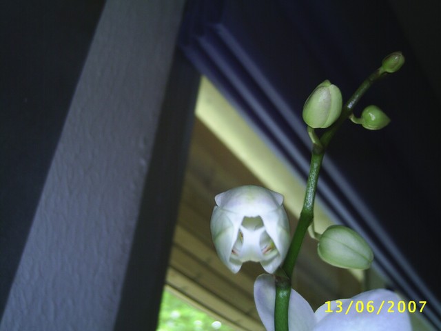 Image0000119.jpg