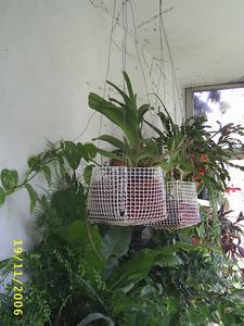 Image000012.JPG