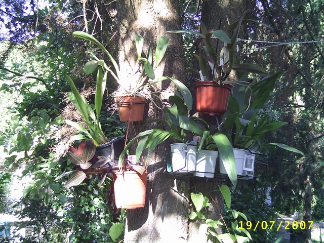Image0000120.jpg