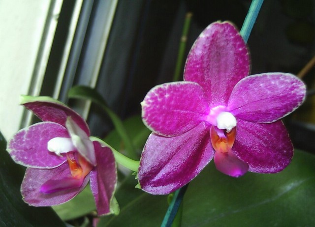 Image0000122.jpg