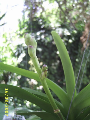 Image0000123.jpg
