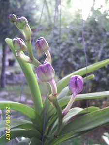 Image0000124.jpg