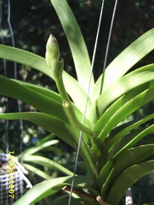 Image0000127.jpg