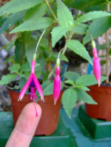 Image000013.jpg