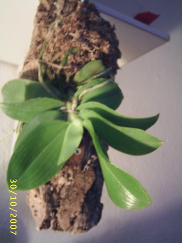 Image0000132.jpg