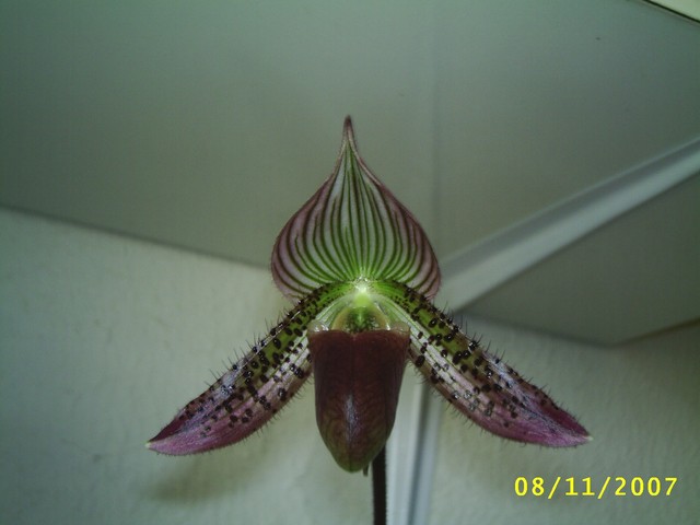 Image0000133.jpg