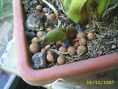 Image0000137.jpg