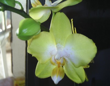 Image0000139.jpg