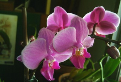 Image0000140.jpg