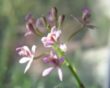 Image0000141.jpg