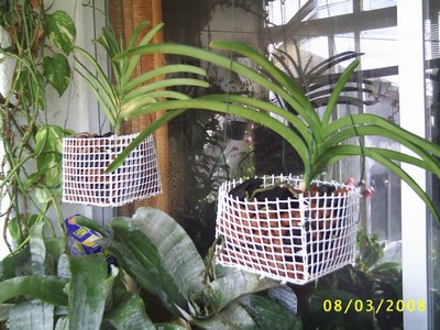 Image0000144.jpg