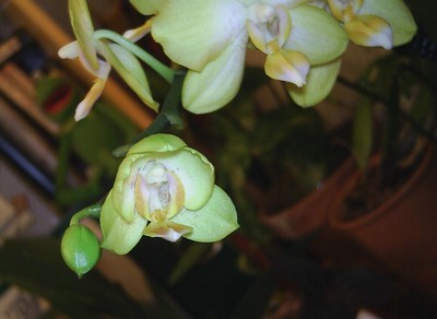 Image0000146.jpg