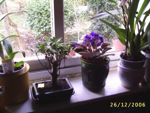 Image000015.jpg