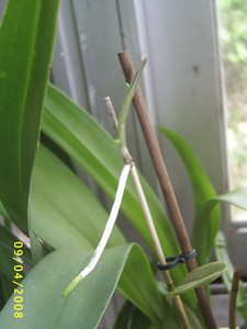 Image0000150.jpg