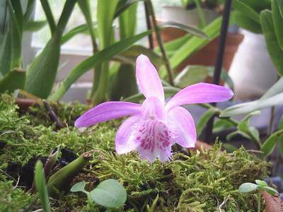 Image0000153.jpg