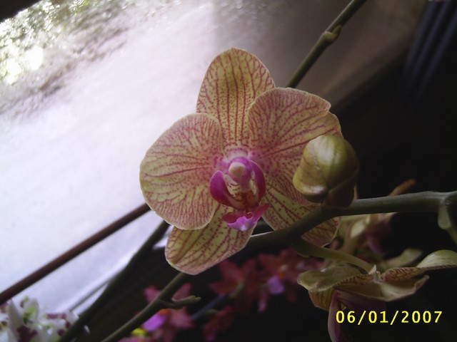 Image000016.jpg