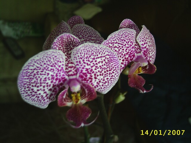 Image000017.jpg