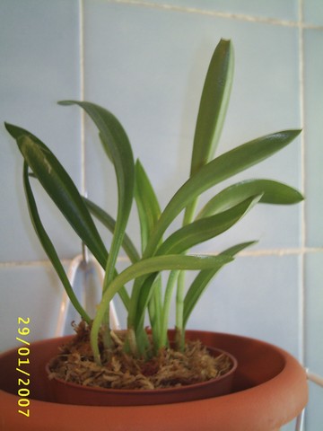 Image000018.jpg