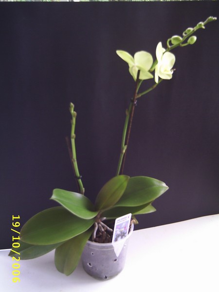 Image00002.jpg