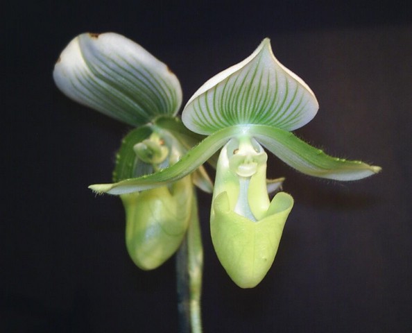 Image00002.jpg
