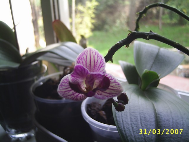Image00002.jpg