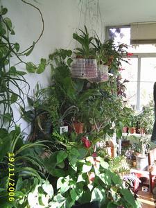 Image000021.JPG