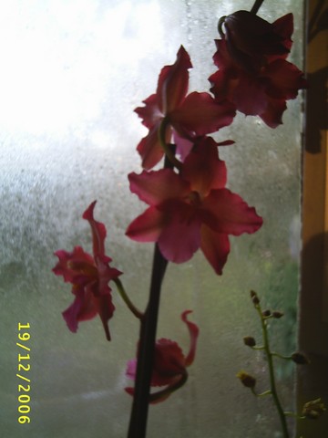 Image000021.jpg