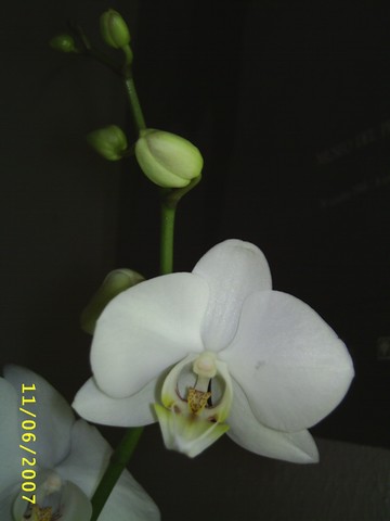 Image0000210.jpg